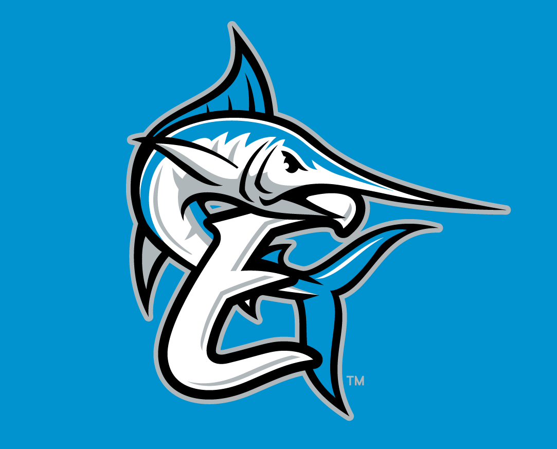 Coastal Plain League All-Star Game 2014 Cap Logo v2 iron on heat transfer